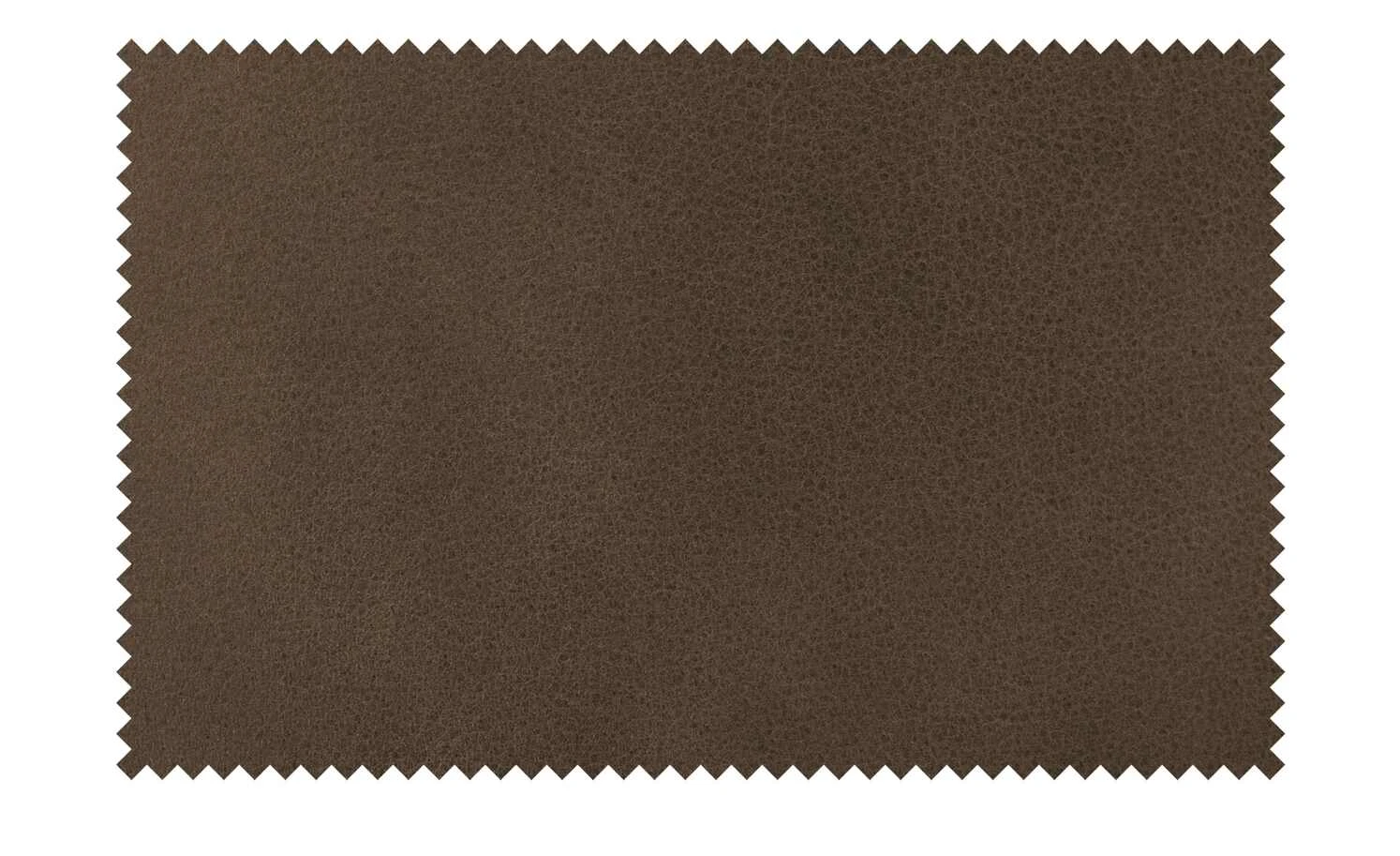 KOINOR Sessel Igor | Muskat (Dunkelbraun) – Bild 8