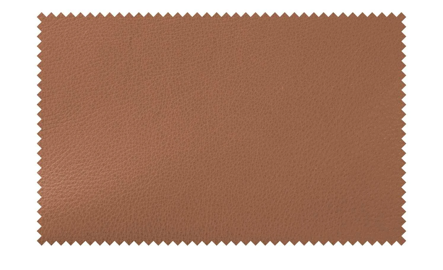 KOINOR Sessel Jacy | Cognac (Braun-Orange) – Bild 6