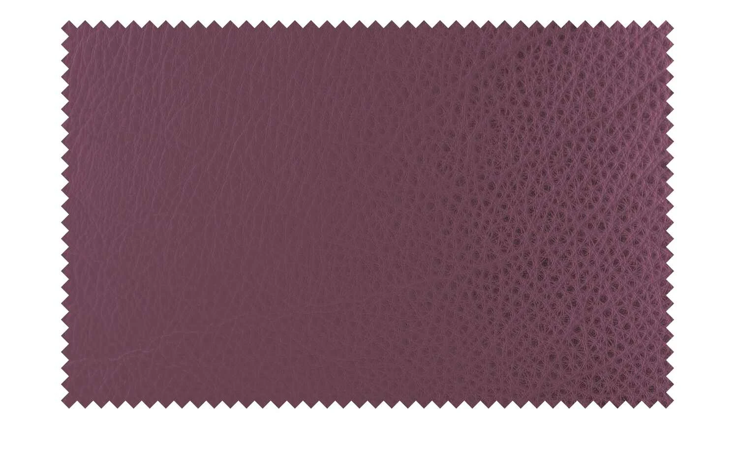 KOINOR Ledersessel Safira | Rasberry (Lila) Grundfunktion – Bild 8