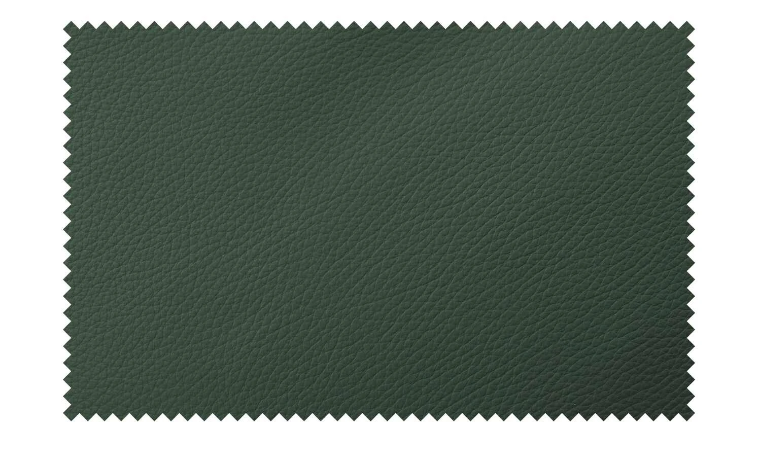 himolla Ledersessel 7418 | Tanne (Grün) – Bild 2
