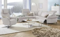 himolla Ledersessel 7051 | Asche (Hellgrau)